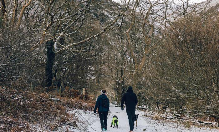 Walking at Coedydd Aber National Nature Reserve
